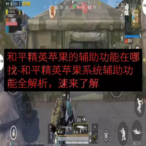 和平精英苹果的辅助功能在哪找-和平精英苹果系统辅助功能全解析，速来了解