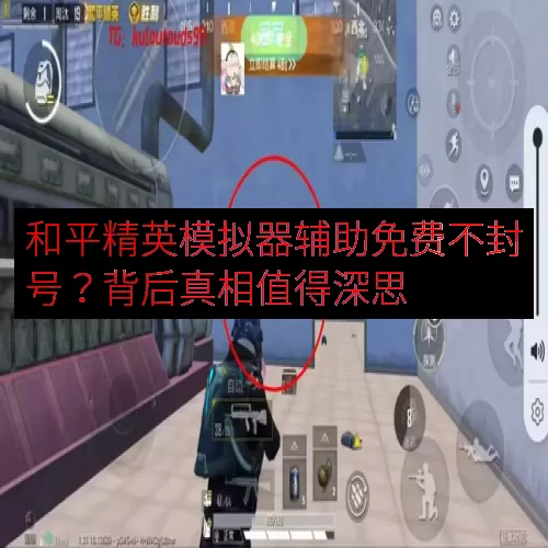 和平精英模拟器辅助免费不封号？背后真相值得深思