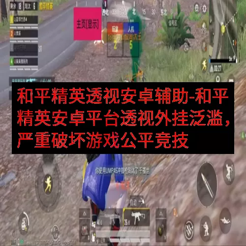 和平精英透视安卓辅助-和平精英安卓平台透视外挂泛滥，严重破坏游戏公平竞技