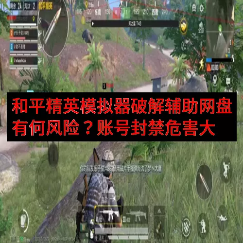 和平精英模拟器破解辅助网盘有何风险？账号封禁危害大