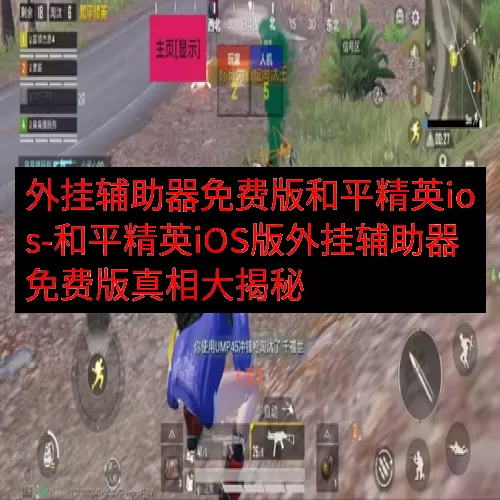 外挂辅助器免费版和平精英ios-和平精英iOS版外挂辅助器免费版真相大揭秘