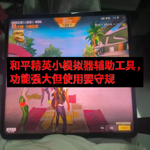 和平精英小模拟器辅助工具，功能强大但使用要守规