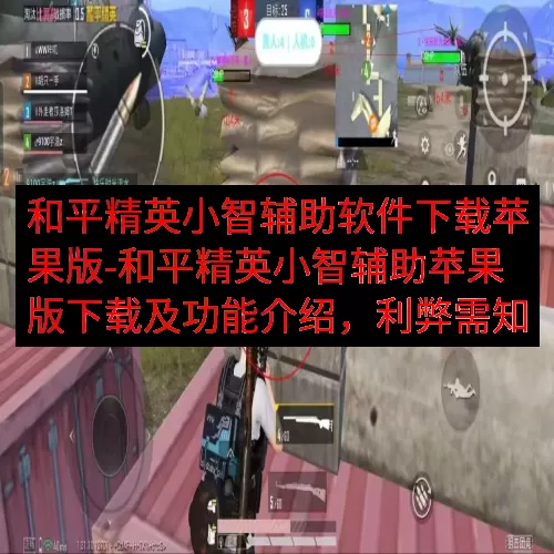 和平精英小智辅助软件下载苹果版-和平精英小智辅助苹果版下载及功能介绍，利弊需知