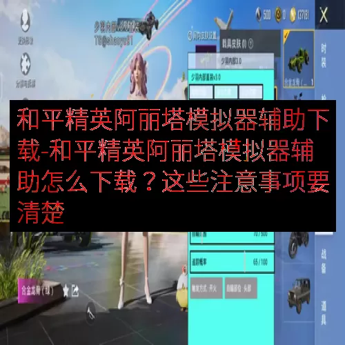 和平精英阿丽塔模拟器辅助下载-和平精英阿丽塔模拟器辅助怎么下载？这些注意事项要清楚