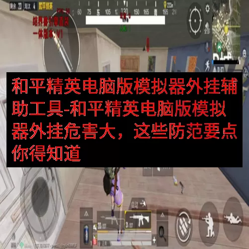 和平精英电脑版模拟器外挂辅助工具-和平精英电脑版模拟器外挂危害大，这些防范要点你得知道