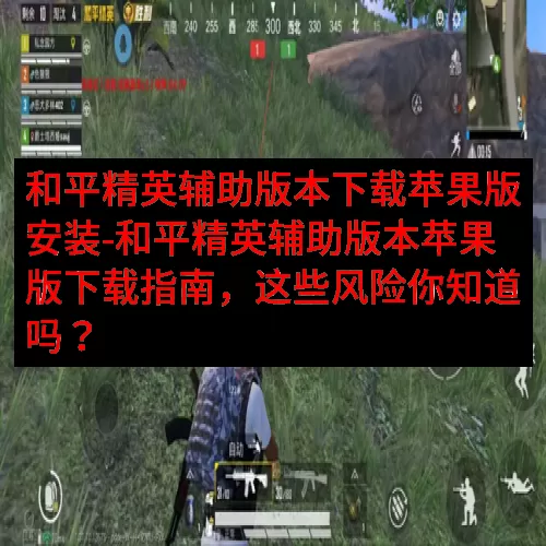 和平精英辅助版本下载苹果版安装-和平精英辅助版本苹果版下载指南，这些风险你知道吗？