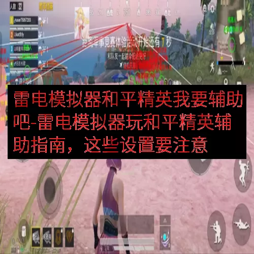 雷电模拟器和平精英我要辅助吧-雷电模拟器玩和平精英辅助指南，这些设置要注意