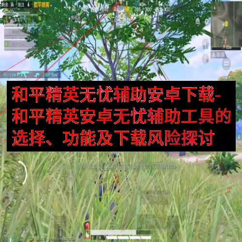和平精英无忧辅助安卓下载-和平精英安卓无忧辅助工具的选择、功能及下载风险探讨