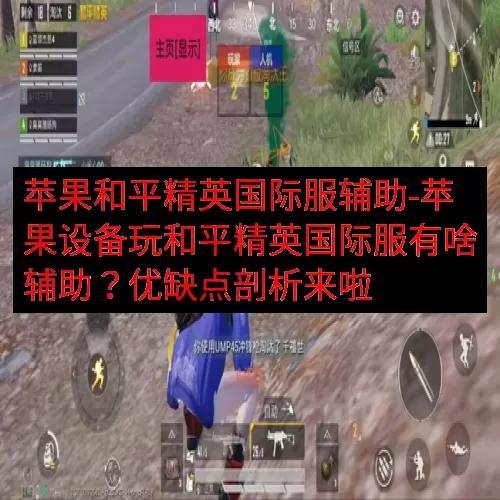 苹果和平精英国际服辅助-苹果设备玩和平精英国际服有啥辅助？优缺点剖析来啦