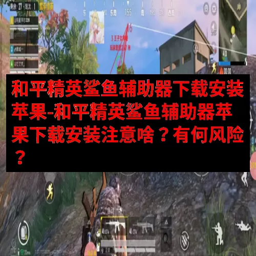 和平精英鲨鱼辅助器下载安装苹果-和平精英鲨鱼辅助器苹果下载安装注意啥？有何风险？