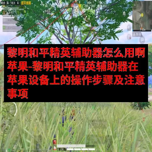 黎明和平精英辅助器怎么用啊苹果-黎明和平精英辅助器在苹果设备上的操作步骤及注意事项