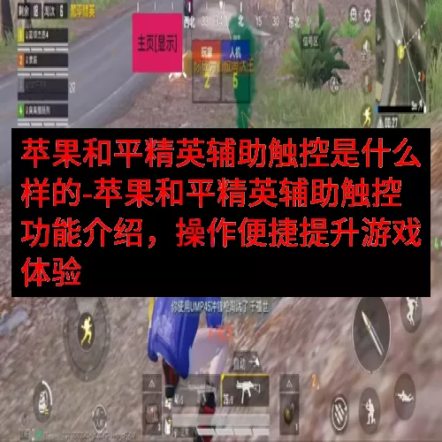 苹果和平精英辅助触控是什么样的-苹果和平精英辅助触控功能介绍，操作便捷提升游戏体验
