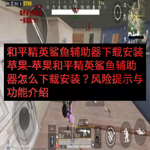 和平精英鲨鱼辅助器下载安装苹果-苹果和平精英鲨鱼辅助器怎么下载安装？风险提示与功能介绍