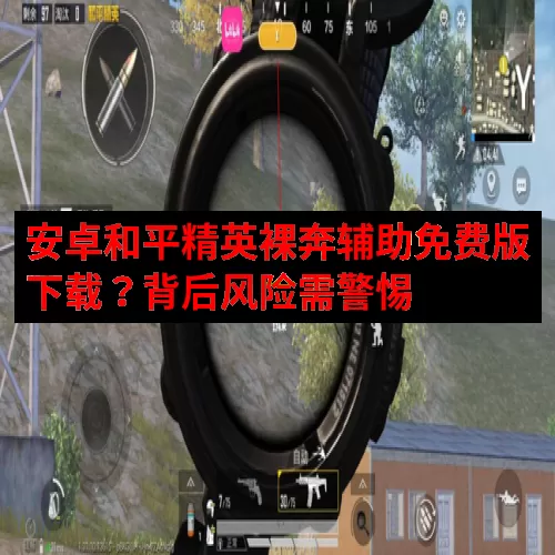 安卓和平精英裸奔辅助免费版下载？背后风险需警惕