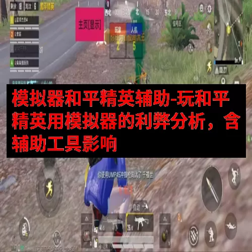 模拟器和平精英辅助-玩和平精英用模拟器的利弊分析，含辅助工具